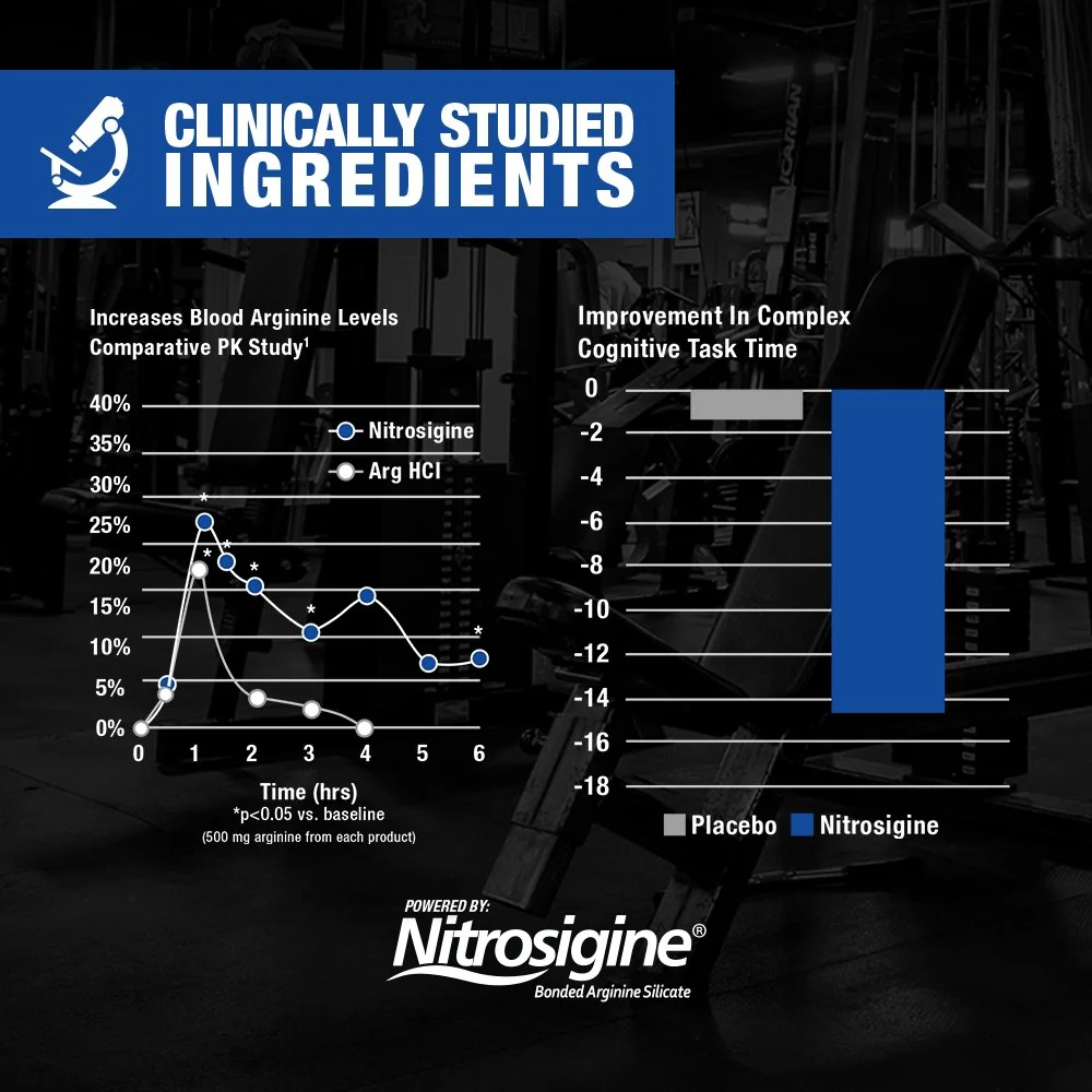 NITRAFLEX ADVANCED - 40 Servings