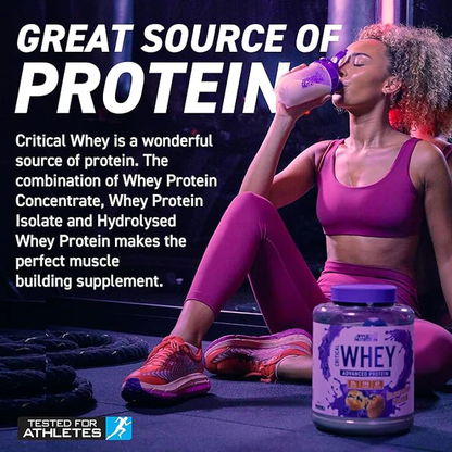 WHEY PROTEIN - 67 Servings